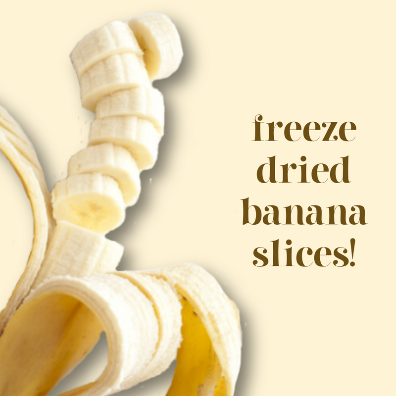 Freeze-Dried Banana Slices
