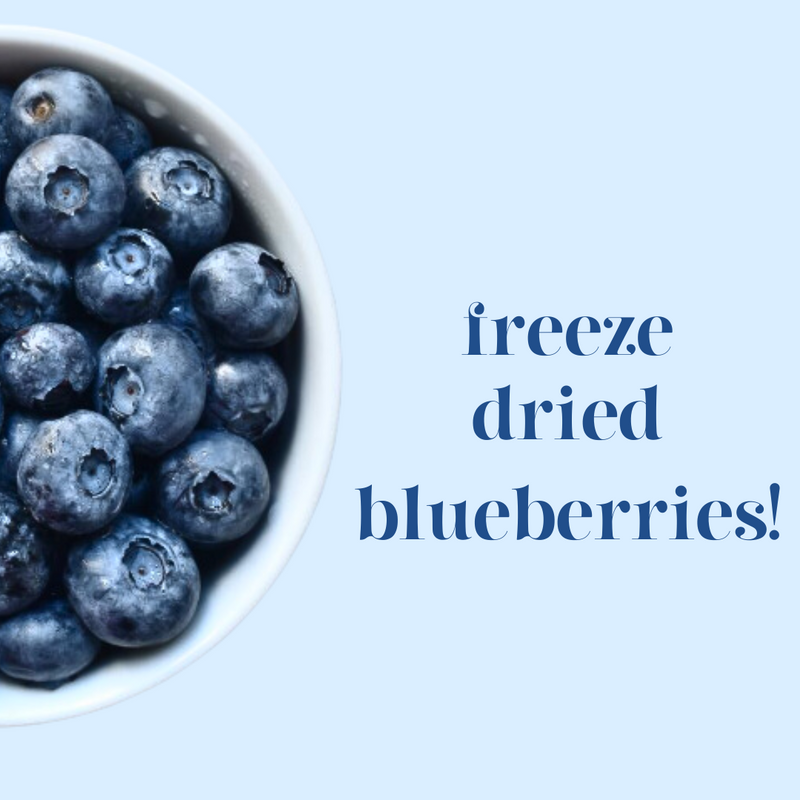 Freeze-Dried Blueberries